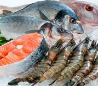 Fresh seafood display featuring various fish and shrimp