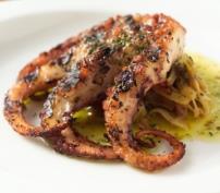Grilled octopus tentacle garnished with herbs