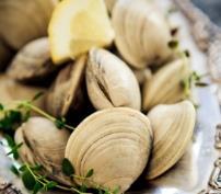 Fresh clams